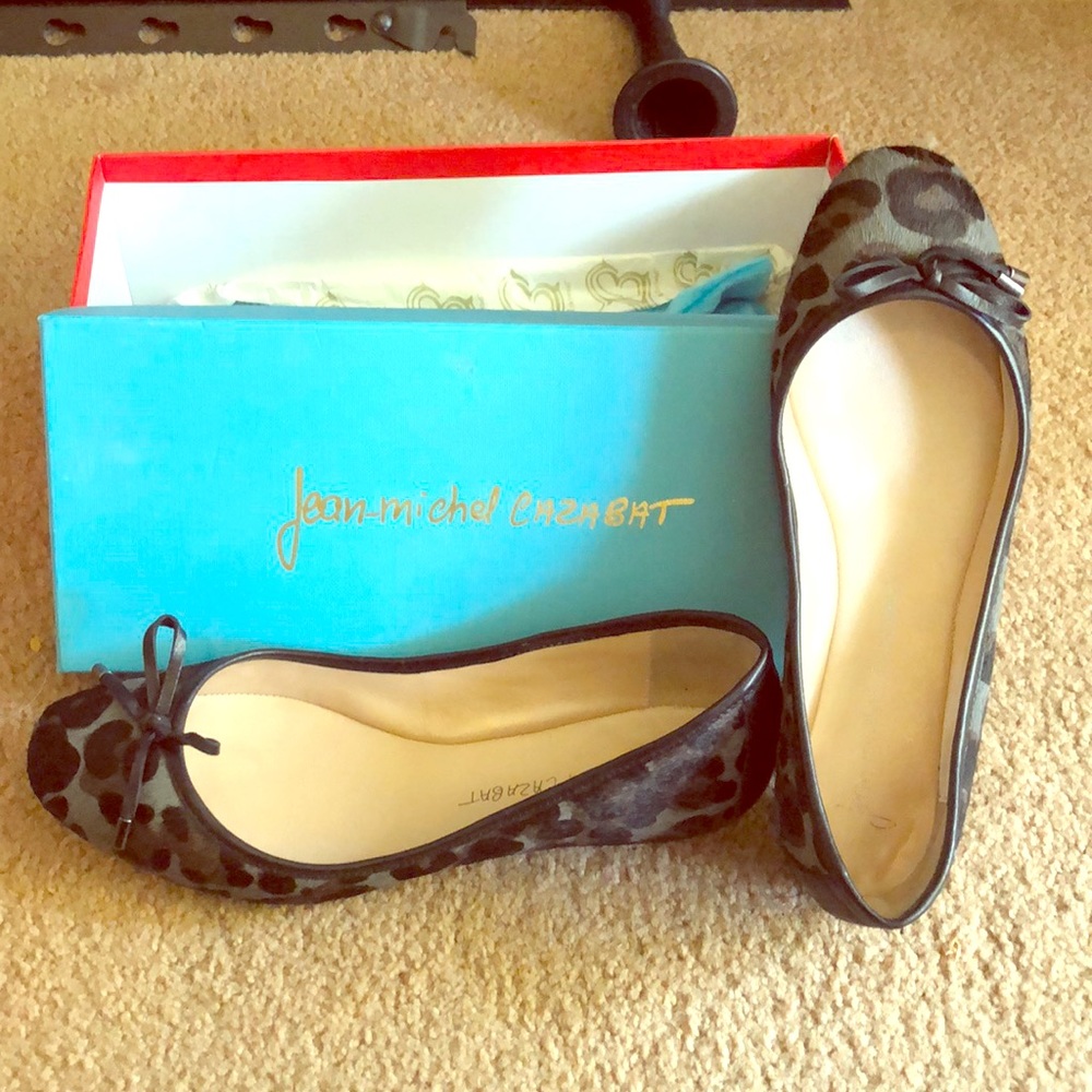 Grey Leopard Jean-Michel Cazabat Flat w.bow